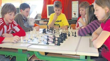 Eine ganz neue Welt entdeckt Paula Print bei der Schacharbeitsgruppe an der Inchenhofener Grundschule. Die sechs Viertklässler erklären ihr einige Regeln des Schachspiels und zeigen ihr, wie sich die Figuren auf dem Brett bewegen dürfen. 