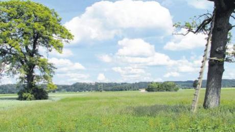 Das Lechfeld in der Gemeinde Rehling, speziell westlich von Oberach, könnte demnächst noch wichtiger werden für die Wasserversorgung dieser Region. Hier soll ein neu geplanter Tiefbrunnen entstehen. 