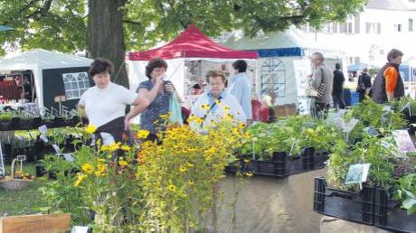 Am Wochenende finden wieder die Gartentage in Schloss Scherneck bei Rehling statt. 