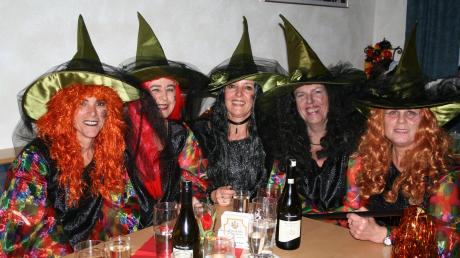 Diese fünf Zauberinnen glänzten in ihren tollen Kostümen, sie stammen allesamt aus dem Kühbacher Umland.