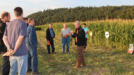 Georg Meisinger von der Firma KWS und Johannes Schenk von der Raiffeisenbank Aindling zeigten Landwirten zwanzig Sorten Mais auf dem Versuchsfeld von Landwirt Peter Brandmayr aus Todtenweis.  
