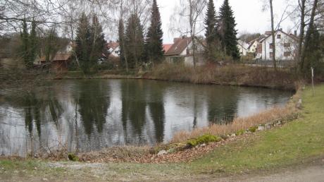 Im Rahmen der Dorferneuerung soll das nördliche Ufer des Weihers in Igenhausen aufgewertet werden - eines der Themen, mit denen sich der Nachfolger von Bürgermeister Hans Riß beschäftigen wird. 