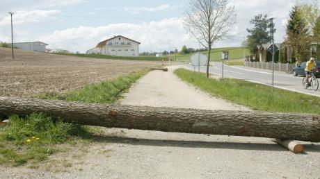 Dieser Baumstamm blockiert seit einiger Zeit den Gehweg an der westlichen Ortseinfahrt von Sielenbach. Nicht weit von ihm entfernt liegt ein zweiter (Bildhintergrund). Reinhard Herb hat sie dort abgelegt – aus Ärger über die Gemeinde. 
