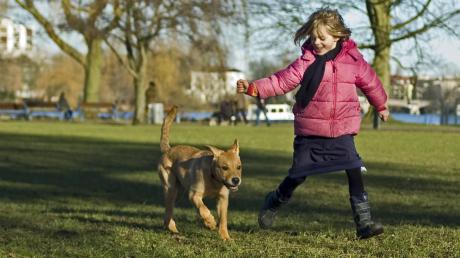 Frei laufende Hunde sind nicht überall gerne gesehen. Zwar sind sie für viele Kinder der liebste Spielgefährte, doch oft haben Menschen Angst vor den Vierbeinern. Die müssen deshalb in Aichach auf Kinderspielplätzen grundsätzlich an die Leine. 