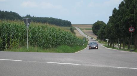 Wo derzeit noch Mais sprießt, ist künftig ein landwirtschaftlicher Warenhandel vorgesehen. Westlich der Straße von Motzenhofen (Hollenbach) nach Sainbach (Inchenhofen) sind mindestens fünf Silos in Planung.
