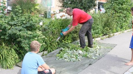 Für Gartenarbeiten nutzt Thomas Winterhalter seinen Urlaubstag – daheim in Sielenbach. Simon und Lukas, die beiden Söhne, helfen dem Papa dabei. 
