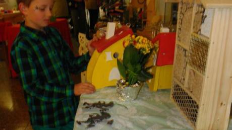 Auch das gab es beim Adventsmarkt der „Hilfe für Kinder aus Tschernobyl“: Behausungen für Vögel und Wildbienen. Da staunt Michael. 
