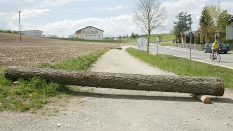 Dieser Baumstamm blockiert den nicht asphaltierten Gehweg an der westlichen Ortseinfahrt von Sielenbach. Nicht weit von ihm entfernt liegt ein zweiter. Reinhard Herb hat sie dort abgelegt. 
