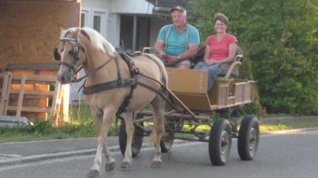 Inzwischen ist auch in Hollenbach dieses Bild seltener geworden: Ein Pferdegespann befindet sich auf dem Weg zurück in den Hollenbacher Ortsteil Motzenhofen. 