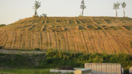 Das Bild zeigt den Müllberg in Friedberg mit dem aus Mulchgut zusammengerechten Schriftzug: "Mulchen zerstört". Auch die Gemeinde Todtenweis will weniger mulchen.
