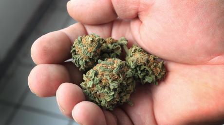Ein 36-Jähriger aus dem nördlichen Landkreis Aichach-Friedberg baute in seinem Weinkeller Cannabis an. 18 Pflanzen entdeckte die Polizei dort. 