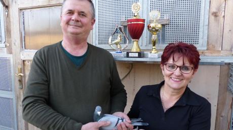 Adam und Maria Wambach sind stolz auf die Auszeichnungen, die ihre Tauben im Jahr 2019 eingeflogen haben: Das Tier mit der Nummer 06455-19-588 erhielt die Auszeichnung als beste Jungtaube 2019; Adam Wambach erhielt zwei Pokale als Jungflugmeister.  	