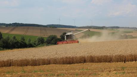 Unterwegs mit Landwirt Richard Herb: In diesen Tagen beginnt er bei Sielenbach mit der Weizenernte. Es ist ein trockener Job. 
