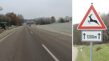 An der Straße zwischen Petersdorf und Affing passieren im Landkreis Aichach-Friedberg statistisch gesehen die häufigsten Wildunfälle.