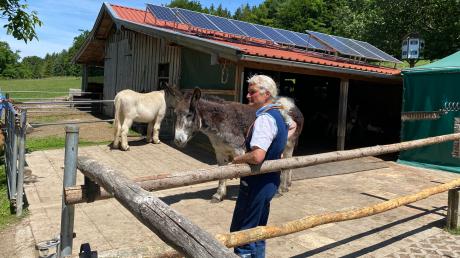 Der Schaf- und Eselstall von Anahid Klotz (Foto) und ihrem Mann Gerhard Gregori ist vom Gemeinderat im Nachhinein mit knapper Mehrheit genehmigt worden. 	