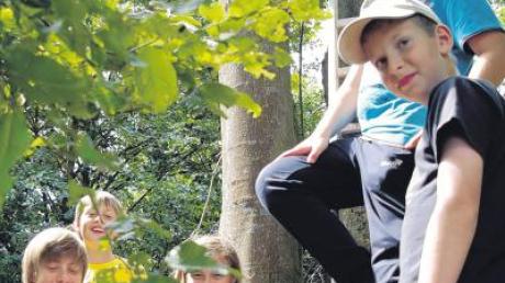 Mit Leiter und Schutzhandschuhen ausgerüstet, sind die Ferienkinder in den Ehinger Gemeindewald aufgebrochen, um die Nistkästen zu reinigen. 