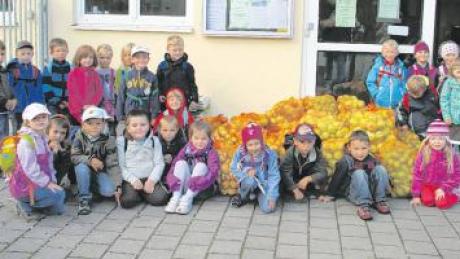 Aus ihrer reichen Ernte von 417 Kilo Äpfeln nahmen die Kinder vom Kindergarten Meitingen nun 340 Liter gesunden Saft mit zurück. 