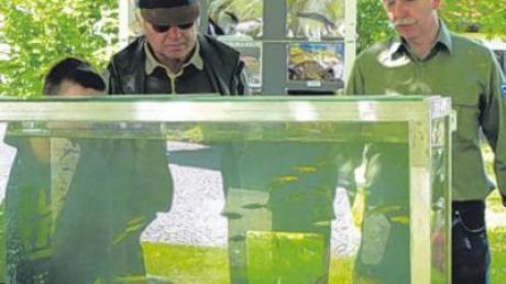 Das Leben der Fische war bei der BayernTour Natur in einem Aquarium hautnah zu beobachten. 