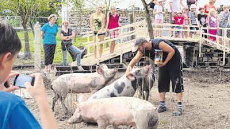 Daniel Rotter demonstrierte auf dem Gnadenhof, dass Schweine intelligent und bewegungsfreudig sind. 