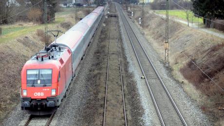 Mitten im Gleisbett, völlig zugewuchert, gibt es bei Neusäß bereits ein drittes Gleis. Während die Bahnlinie bis Gessertshausen gute Chancen auf einen Ausbau hat, sieht es für die weitere Strecke bis Dinkelscherben schlecht aus. 