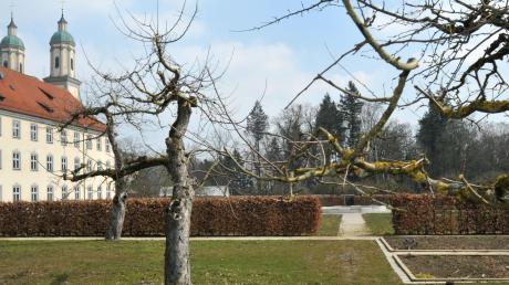 Im Moment ist noch Winter im Klostergarten, im Juli sollen dort Gartentage stattfinden. 