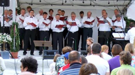 Auf Initiative des Männergesangvereins „Eintracht“ fand 2010 das erste Open-Air-Konzert „Ehingen singt und klingt“ statt. Am Samstag, 8. Juni, folgt nun die zweite Auflage. 