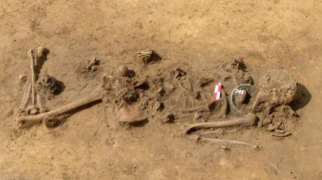 Aus der Bronzezeit stammt dieses Skelett, das während der Ausgrabungen im Südosten Blankenburgs gefunden wurde. Vermutlich handelt es sich um ein männliches Skelett. Inzwischen sind Tausende Funde wissenschaftlich aufgearbeitet und in einem 235 Seiten dicken Buch wissenschaftlich dokumentiert.  
