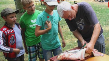 Der Vorsitzende des Meitinger Fischervereins, Hubert Schuster (rechts), zeigte den Teilnehmern des Meitinger Ferienprogramms, wie man gefangene Fische fachgerecht ausnimmt. 
