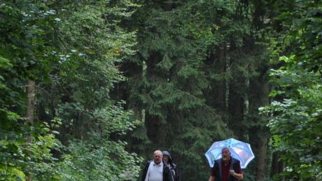Trotz Regens ließen sich diese Teilnehmer der Aystetter Waldwandertage nicht von der Teilnahme am Zehn-Kilometer-Lauf abhalten. 
