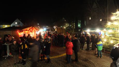 Der Weihnachtsmarkt lockte dieses Jahr viele Besucher an. Die Veranstalter hatten sich im Vorfeld mächtig ins Zeug gelegt. 