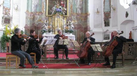 Ein Bild aus vergangenen Tagen: Das „Collegium Musicum Vesperbild“ bei Proben 2013 in der Theklakirche. In der Mitte: Leiter Josef Seidl.