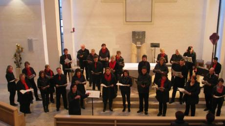 Der Chor des „Musicalprojekts 86“ beeindruckte die Zuhörer in der Ellgauer Kirche. Die Sänger präsentierten Lieder aus dem Musical „Franziskus“. 
