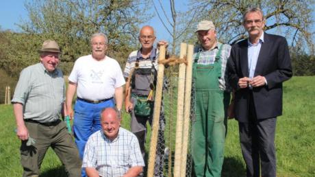 Die Mitglieder des OGV Fischach, (von links) Hans Strehle, Xaver Vogt, Dieter Mühl, Hermann Mang und vorne Franz Meitinger haben insgesamt 21 Obstbäume gepflanzt. Mit im Bild (rechts) Bürgermeister Peter Ziegelmeier. 