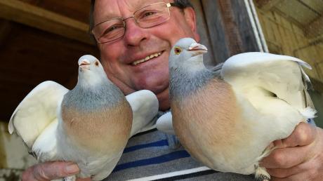 Ein erfolgreiches Team: Der Taubenzüchter Reinhold Heim mit seinen Coburger Lerchen Silber ohne Binde 
