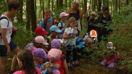 Bei der Waldwanderung bei Zusmarshausen wollten alle den Fuchsbau sehen. „Der ist ganz schön tief“, meinten die Kinder. 	
