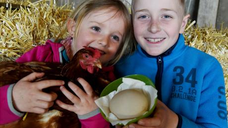 Eine Henne in Stettenhofen hat am Ostersonntag ein rekordverdächtiges Ei gelegt. Es wiegt 164 Gramm und ist damit dreimal so groß wie ein M-Ei. Sebastian und Theresa Meitinger zeigen es stolz.