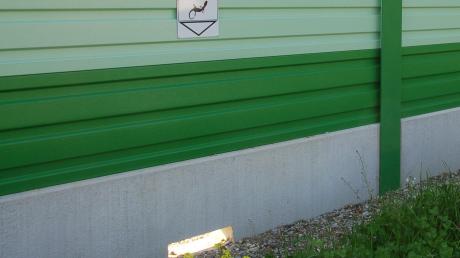 In den Lärmschutzwänden hat die Bahn Schlupflöcher für Eidechsen angebracht. Schilder (oben zu sehen) weisen darauf hin.