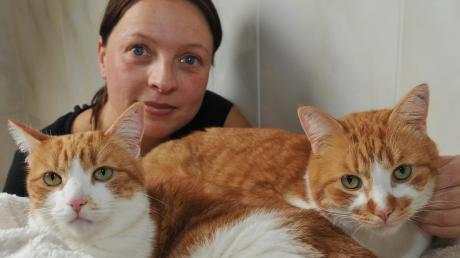Bianca Sirch aus Eppishofen hat zwei herrenlose Katzen, Ronja (links) und Paulchen) bei sich aufgenommen.