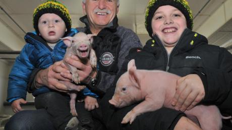 Auf dem Hof von Familie Reiter aus Erlingen gibt es viele Glücksschweinchen. Das Foto zeigt Laurin (ein Jahr alt) und Louis (zehn Jahre) mit Opa Werner Merktle und einer Woche alten Ferkelchen. 
