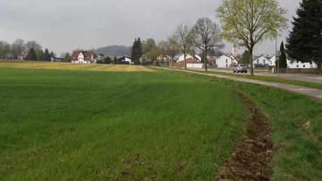Auf diesem Grundstück zwischen den Ortsteile Hausen und Willishausen soll die neue Kindertagesstätte in der Marktgemeinde Diedorf entstehen. 