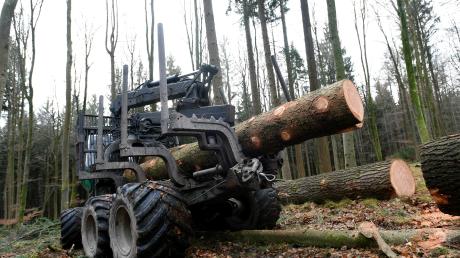 Die Scheibe eines Rückefahrzeugs wurde in der Nacht zum Samstag im Wald bei Altenmünster eingeschlagen. 