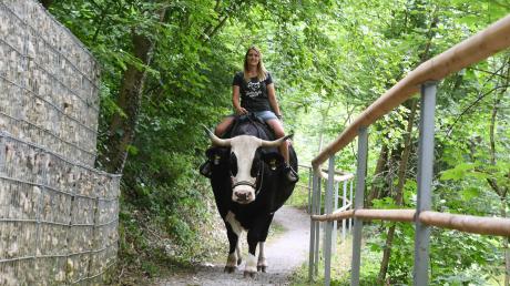 Sina Göppel ist im aktuellen Jungbauernkalender zu sehen. In ihrer Freizeit kümmert sie sich um ihren Ochsen Woodie, auf dem sie auch reitet.