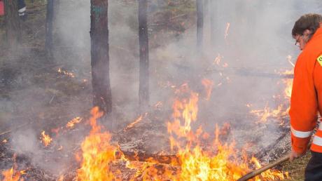 Gerade noch rechtzeitig ist ein Feuer am Waldesrand in Gabelbach, Richtung Gabelbachergreut, am Montag entdeckt worden.