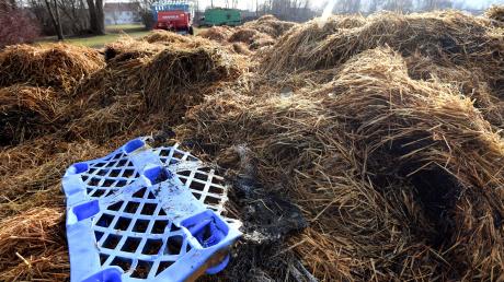Ein Schaden in Höhe von 15000 Euro entstand beim Brand eines Strohballenlagers am Freitag in Nordendorf. 	