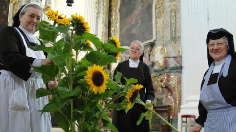 Fast 100 Jahre lang lebten und wirkten Schwestern der Sankt Josefskongregation in Holzen. Hier schmücken einige von ihnen die Klosterkirche. Nun wird der Konvent aufgelöst, die Franziskanerinnen kehren nach Ursberg zurück.  	