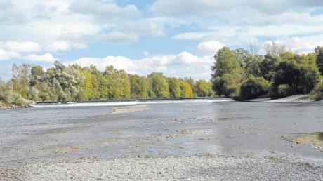 Der Lech im Stadtwald Augsburg rückt jetzt in den Blick der Wasserbauexperten. Noch in diesem Jahr soll der offene Planungsprozess zusammen mit Bürgern und Beteiligten beginnen, um den kanalisierten Fluss streckenweise wieder naturnaher zu gestalten. 