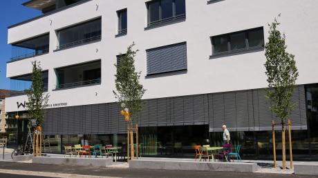 Vor dem Café Wolf in der Bürgermeister-Aurnhammer-Straße hat die Stadt drei neue Hainbuchen gepflanzt.