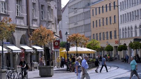 In der Augsburger Bürgermeister-Fischer-Straße litten vor Jahren auch die Bäume unter der Hitze.