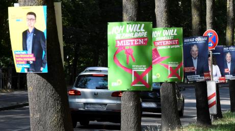 Die großen Parteien haben bereits für die Landtagswahlen plakatiert. Unser Foto entstand an der Berliner Allee, wo jeder Baum zum „Plakatständer“ umfunktioniert wurde. 