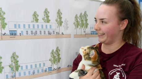 Tierpflegerin Selma Tischendorf freut sich auf das neue Katzenhaus fürs Augsburger Tierheim, auch Katze Hera schaut interessiert auf die Pläne. 	 	